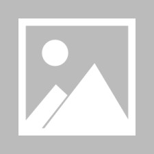 九游体育入口-瓦伦西亚理工大学官网